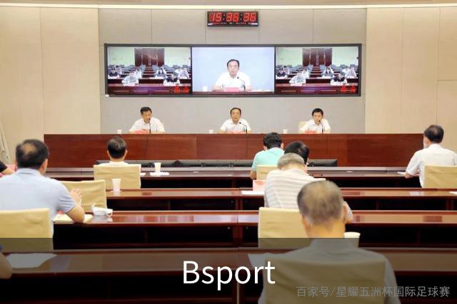 Bsport企业介绍